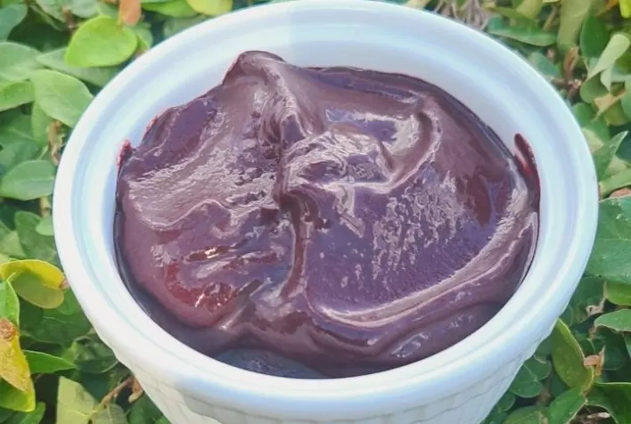 Família paranaense abre fábrica de açaí no Norte e inicia comercialização de produtos no Sul