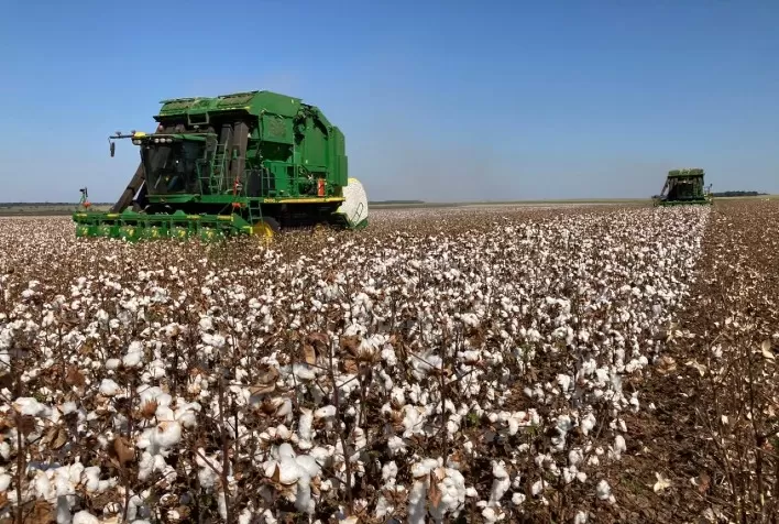 USDA estima produção mundial de algodão em 2022/23 em 115,92 milhões de fardos