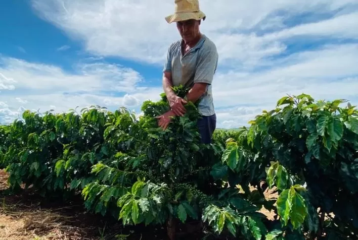 Tecnologias de nutrição e construção de perfil de solo levam mais equilíbrio e produtividade para o cultivo do café