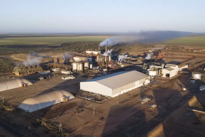 Bevap espera moer 10% a mais de cana-de-açúcar na safra 2023/24