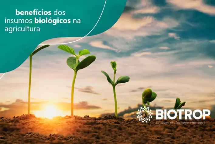 Produtos biológicos contribuem para agricultura mais produtiva e sustentável