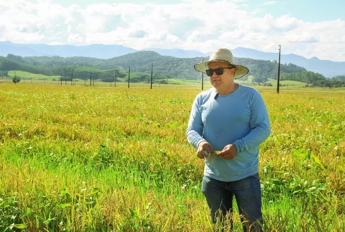 De janeiro a janeiro: parceria entre agricultores e indústrias de arroz é imprescindível o ano todo