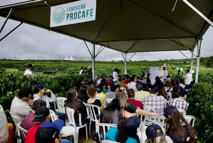 Procafé apresenta nova variedade de café e debate mais três temas em Dia de Campo
