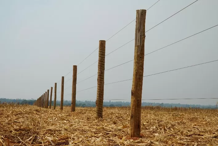 Belgo Arames lança startup Belgo Cerca Rápida na Agrishow 2023