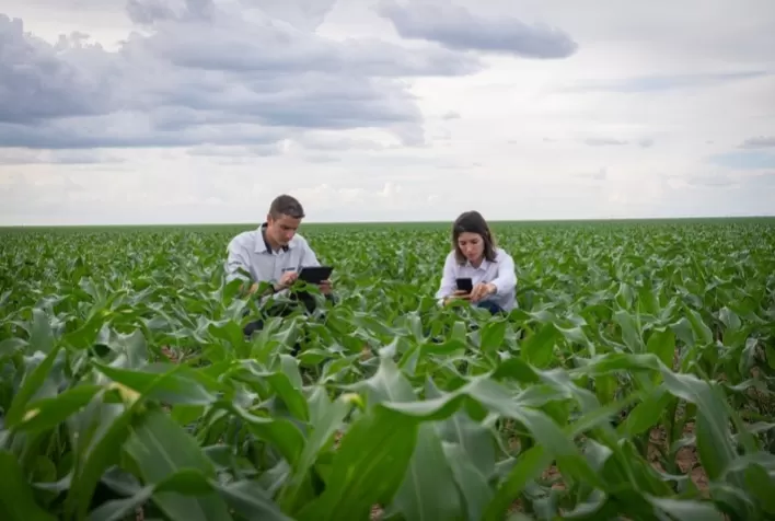 Agrishow 2023: Timing de Aplicação ® torna plataforma FIELD MANAGER mais robusta a cada safra