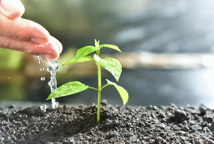 Brasil moderniza procedimentos para registro de produtos biológicos