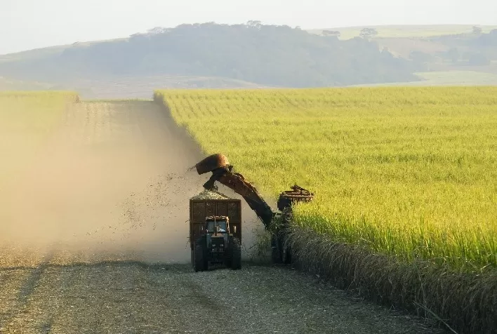 Tailândia caminha para ter em 2023/24 a segunda pior safra de cana do país em 14 anos