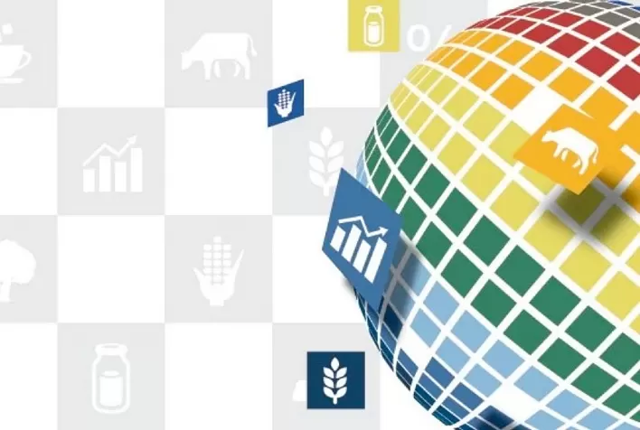 StoneX e Banco BMI se unem para lançar novo Fiagro