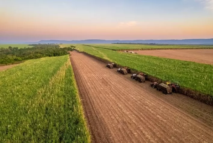 Safra de cana mineira acumula 4,77 milhões de toneladas em 2023/24