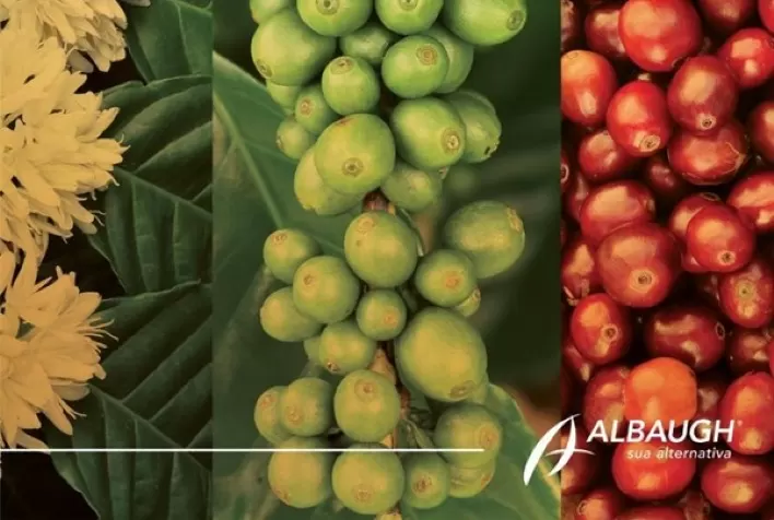 Café do Brasil: Na maior feira do setor cafeeiro, um portfólio robusto para fomentar produtividade e mais rentabilidade