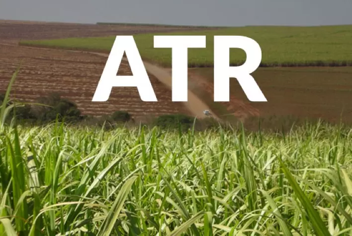 ATR Paraíba: cana padrão registra alta de 2,75% em abril