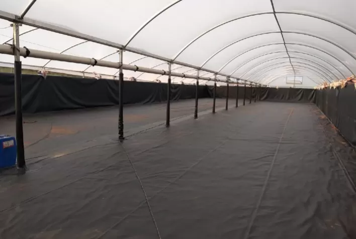 Cipatex leva soluções para cultivo de peixes e camarões em cativeiro na Aquishow