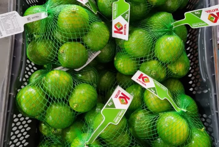 Em expansão no mercado nacional Katira tem se consolidado como grande produtora e comercializadora de limão