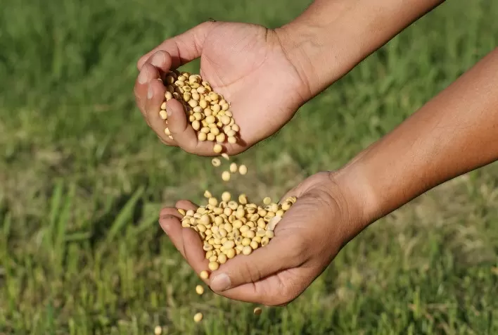 Commodities têm nova baixa generalizada nesta 4 ª feira e futuros da soja cedem mais de 1% em Chicago