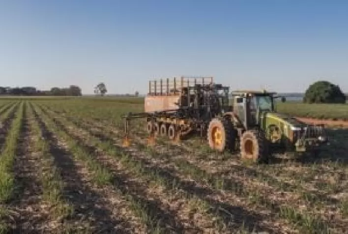 Dia Mundial do Meio Ambiente: agricultura regenerativa favorece saúde do solo, biodiversidade e descarbonização