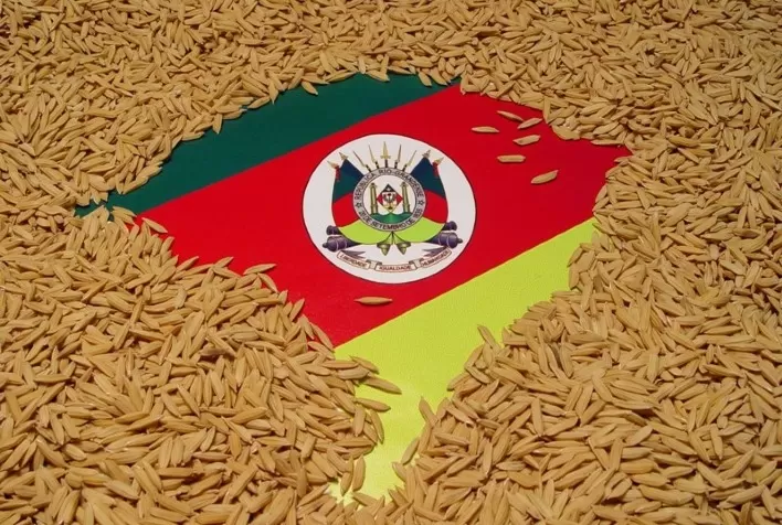 Preço do arroz gaúcho tem declínio em maio e prejudica comercialização