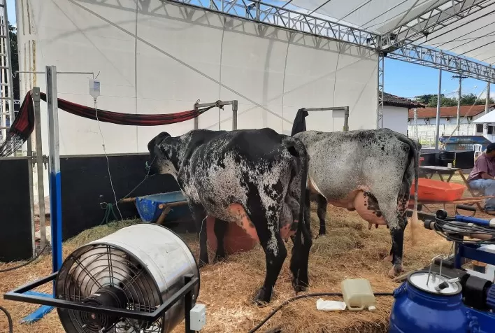 Megaleite 2023: Primeiros animais chegam ao Parque da Gameleira