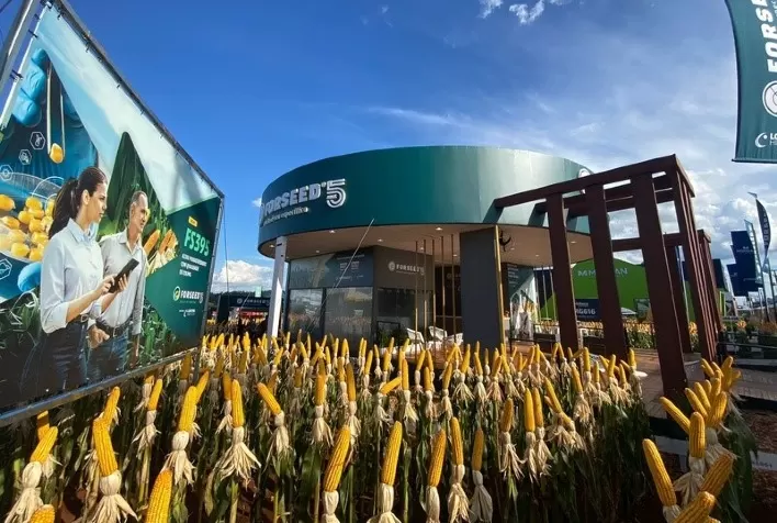 Em cinco anos, Forseed dobra de tamanho e aumenta sua presença no mercado de sementes de milho