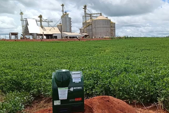 Déficit de armazenagem compromete qualidade dos grãos e traz perdas ao produtor rural