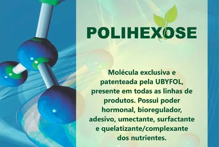 Aumento da absorção de nutrientes apoia produtor no cultivo de safras com maior potencial