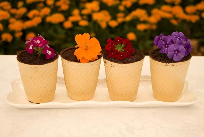 Expoflora inova na gastronomia e lança sobremesa exclusiva com toque de lavandula, salada de flores e muito mais