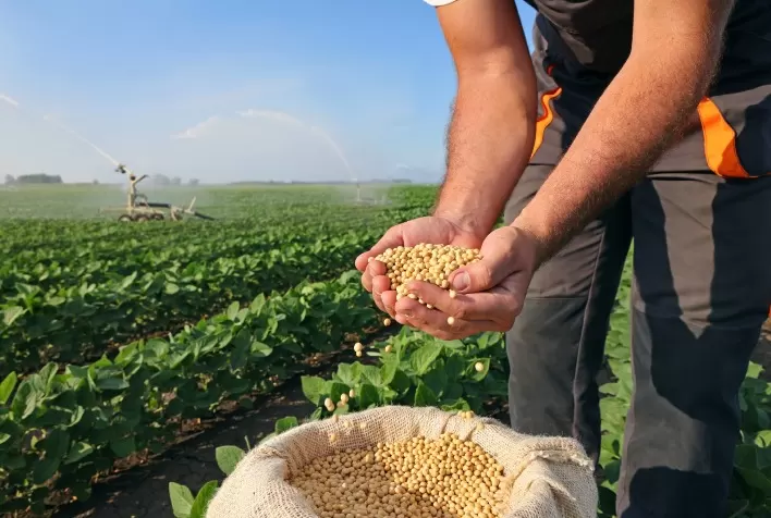 Sojicultores têm incremento médio de 3,6 sc/ha com biotecnologia
