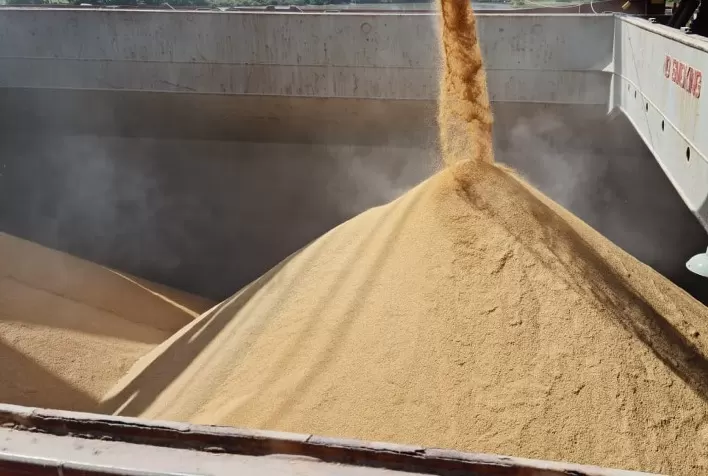 Line-up prevê embarques de 139,737 mil t de arroz pelo Brasil em junho