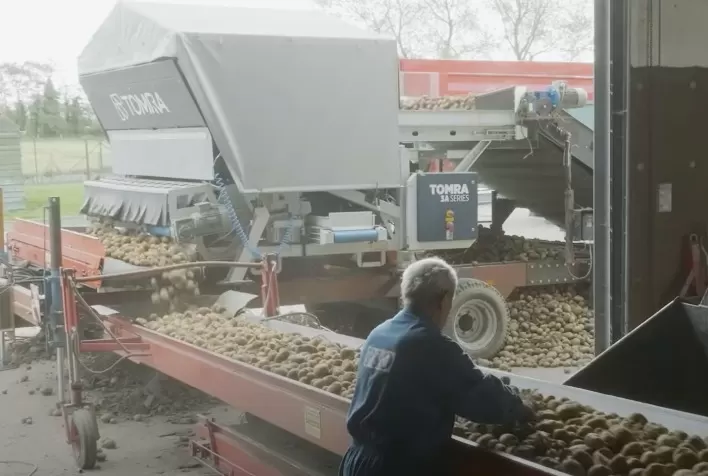 TOMRA 3A: Agricultor belga encontra a solução ideal para limpar as batatas que serão armazenadas