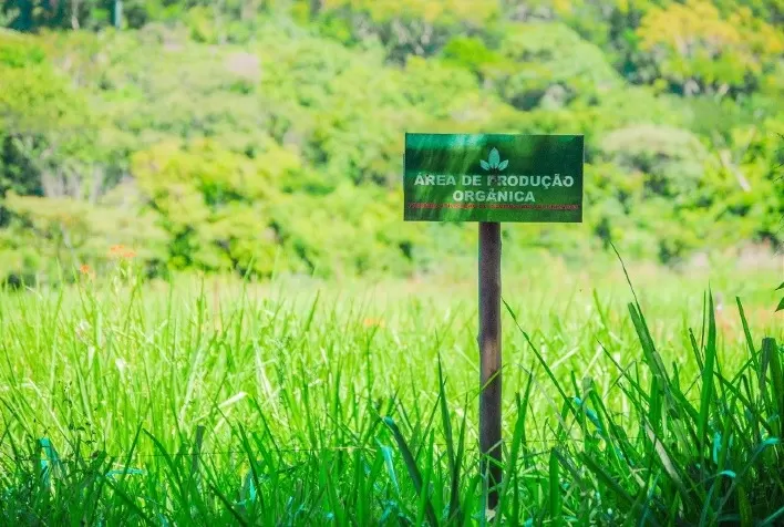 Embrapa oferece curso imersivo de Pecuária Leiteira Orgânica em fazendas certificadas