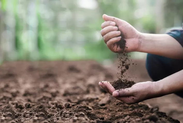 Restabelecer os sistemas naturais em áreas agrícolas é o caminho para alta produtividade