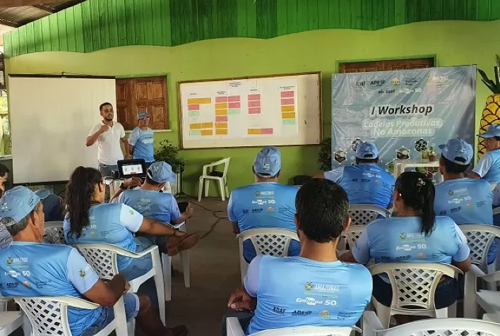 Melhoria na cadeia produtiva do abacaxi é discutida por instituições do Amazonas