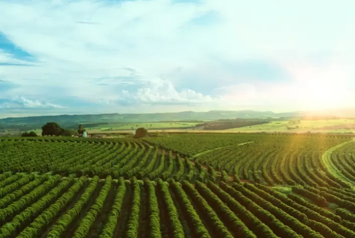 CRÉDITO RURAL: Presidente anuncia Plano Safra 2023/2024 com financiamento de R$ 364,22 bilhões