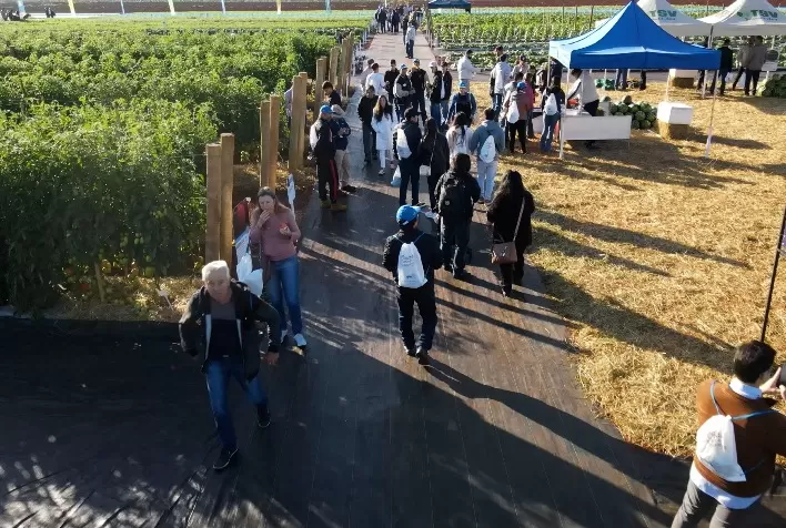 Horticultura em alta: em meio a lançamentos e aprendizados, público do Open Field Day da Agristar cresce mais de 38%