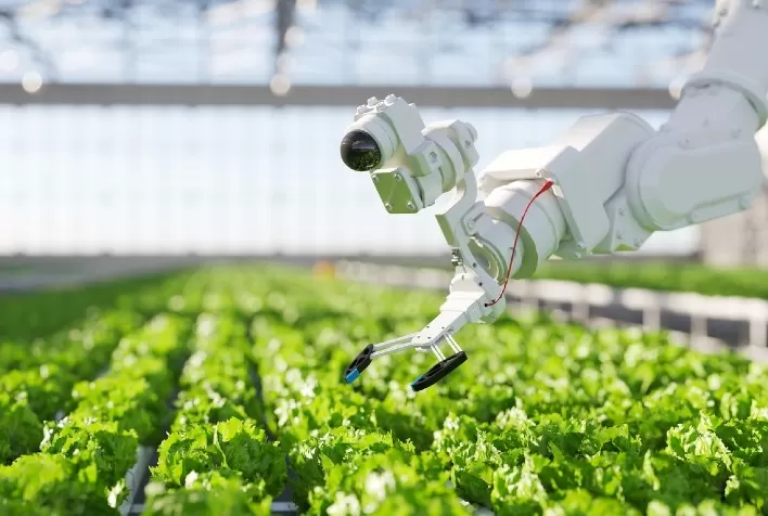Robótica na agricultura: inovações que vão impulsionar o campo