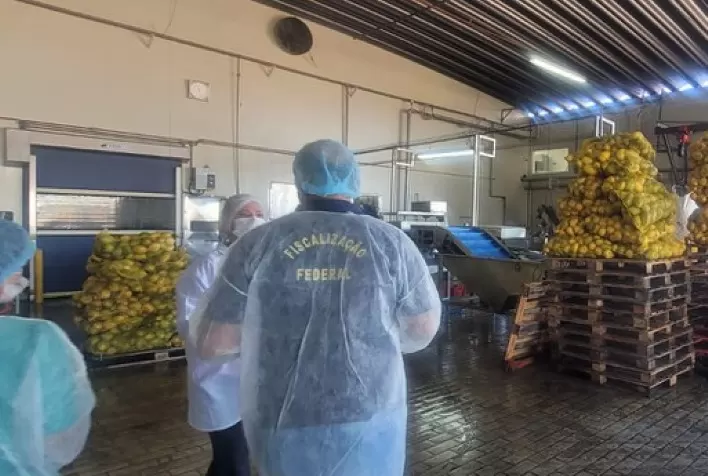 Força-tarefa fiscaliza 22 estabelecimentos de bebidas e fecha quatro em São Paulo