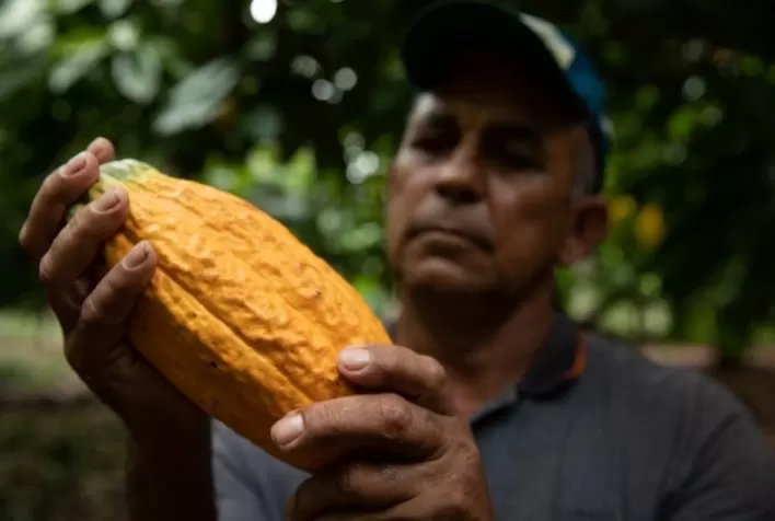 Projeto apoiado pelo Fundo JBS na Amazônia destrava crédito público para agricultores familiares da Amazônia