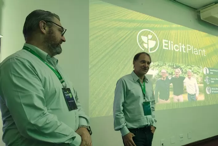 Pesquisadores apresentam primeiros resultados de ensaios com fitoesterol aplicado na soja e no milho