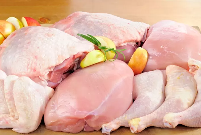 Carne de frango: exportações de 2023 proporcionaram ao setor o melhor semestre de todos os tempos