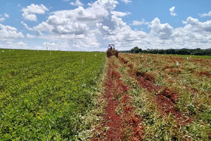 Resultados a campo respaldam novo fungicida para tratamento de sementes, lançado em Ribeirão Preto-SP