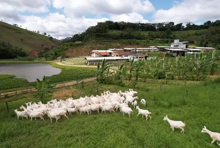 Propriedade da Granja Capriana é opção para turistas conhecerem uma autêntica agroindústria e passarem por experiência única