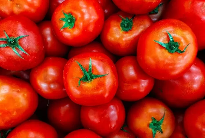 Emater realiza concurso do Melhor Tomate 2023 de Goianápolis