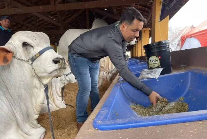 Mastite bovina pode gerar um alto prejuízo econômico aos produtores rurais se não for tratada e prevenida