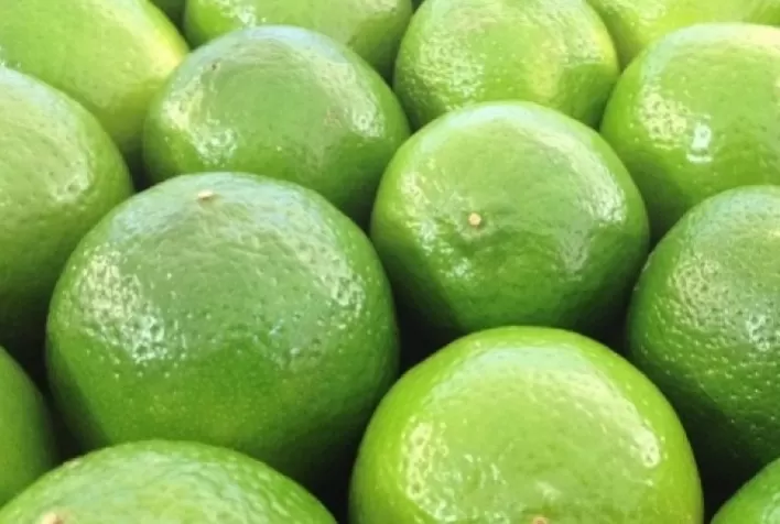 Citros: Preços da tahiti estão em alta nos mercados interno e externo