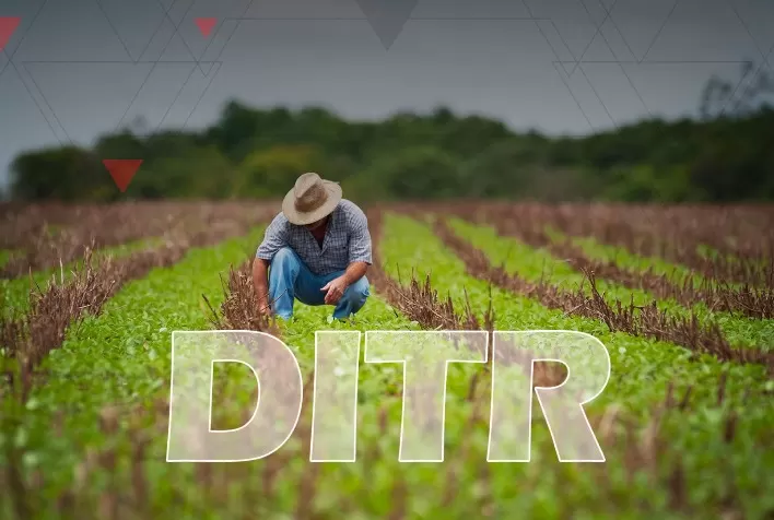 Confira as regras para a Declaração do Imposto sobre Propriedade Territorial Rural