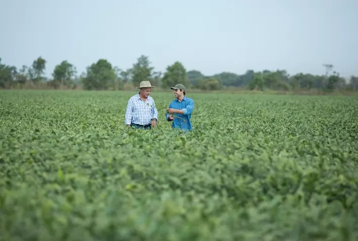 Syngenta lança VERDAVIS® e SPONTA®, soluções inovadoras desenvolvidas a partir da tecnologia PLINAZOLIN®