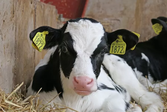 Trouw Nutrition destaca segurança alimentar e tecnologia no Agroleite 2023