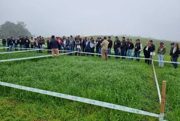 Dia de Campo demonstra cultivares de pastagem de inverno anual no Vale do Itajaí