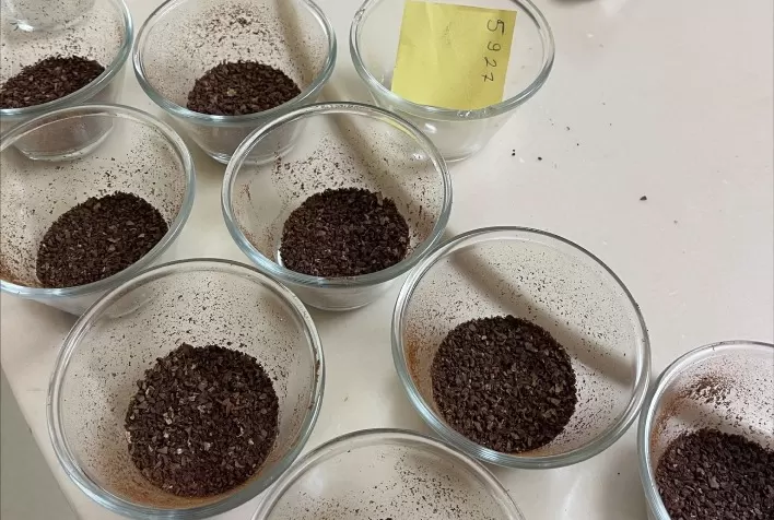 AGRO: Capal apresenta balanço financeiro do 1º semestre aos produtores associados