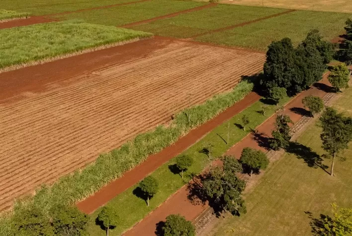 Bolsas de R$ 1.200: Programa de Residência Agrícola abre seleção para estudantes e recém-formados