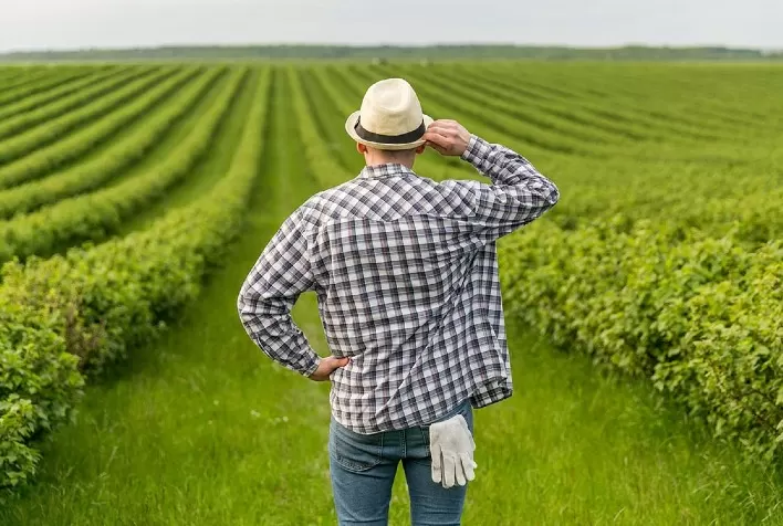 Superando o endividamento rural